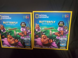 National Geographic Butterfly Growing Kit