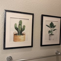 4 Plant Pictures 