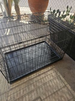 Large Dog Kennels