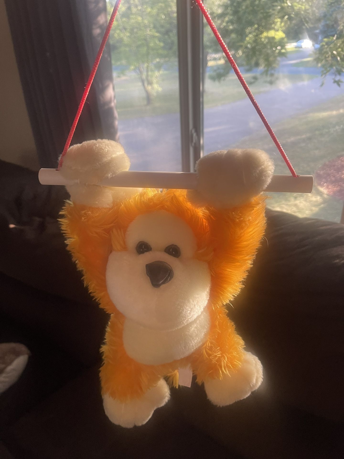 Hanging monkey 