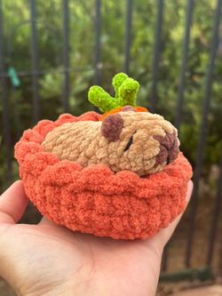 Crochet Mini Capybara in Nest 🪹 with Carrot 🥕 plushie