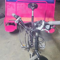 Electric Pedicab 