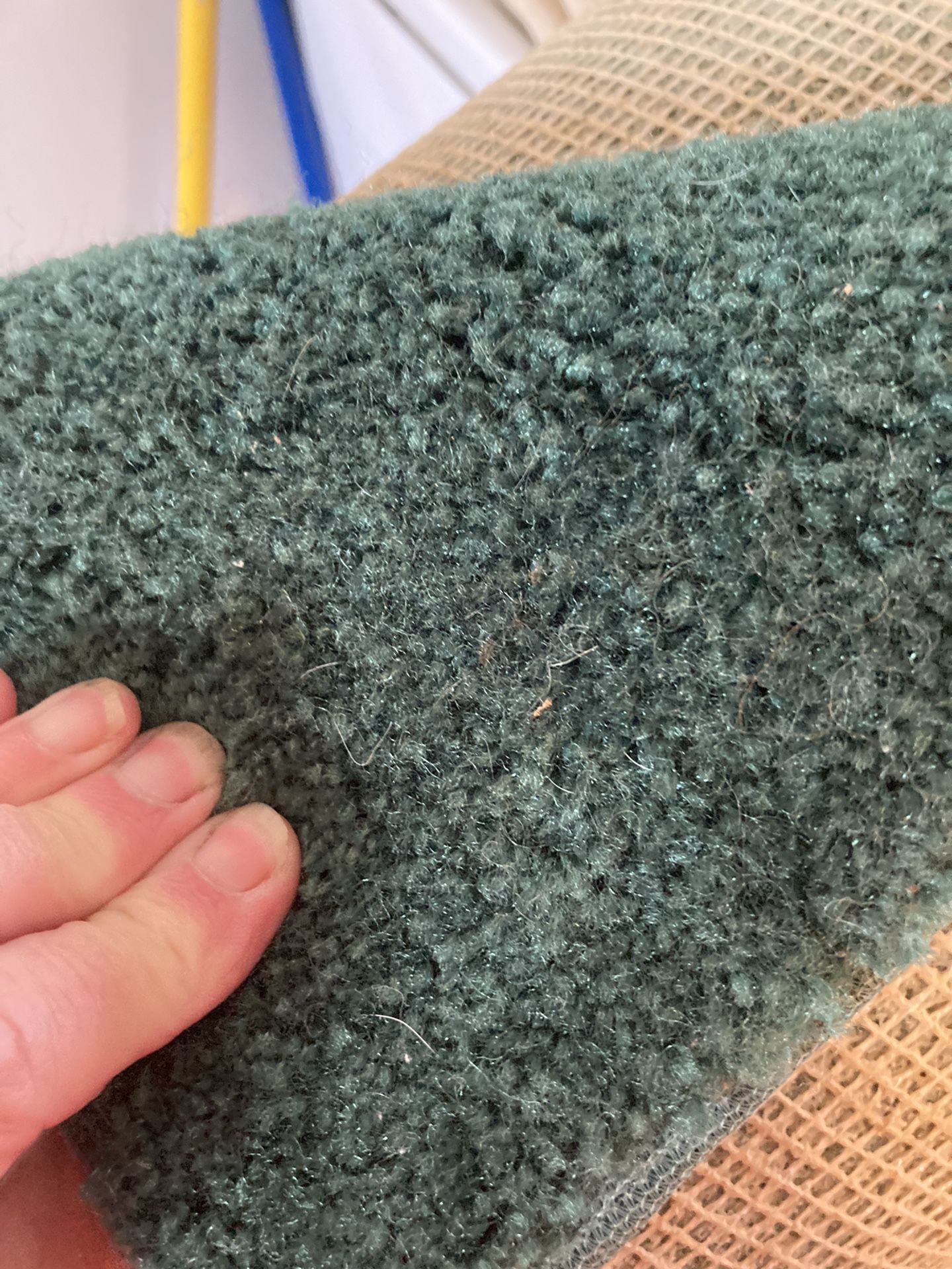 9x12  RUG  VGC.  DARK GREEN  Has 3 Small Stains 