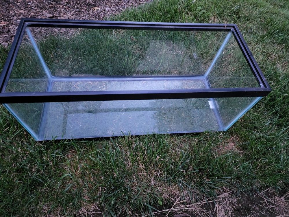 Fish Tank