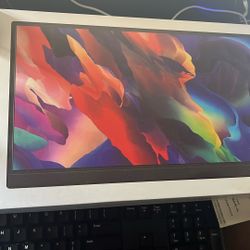 Portable Monitor pm1562