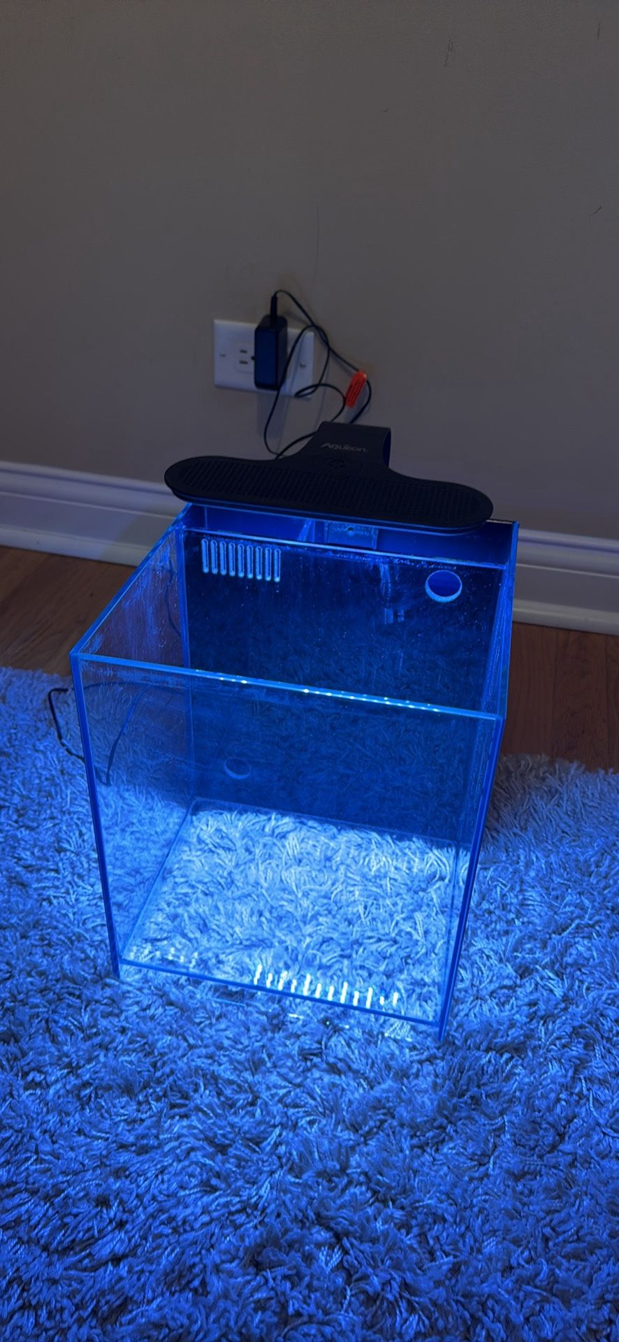5 Gallon Glass Fish Tank