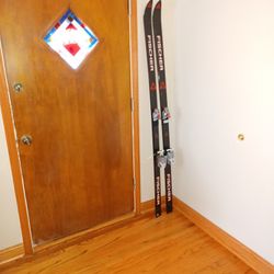 Fischer Skis