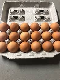 Eggs