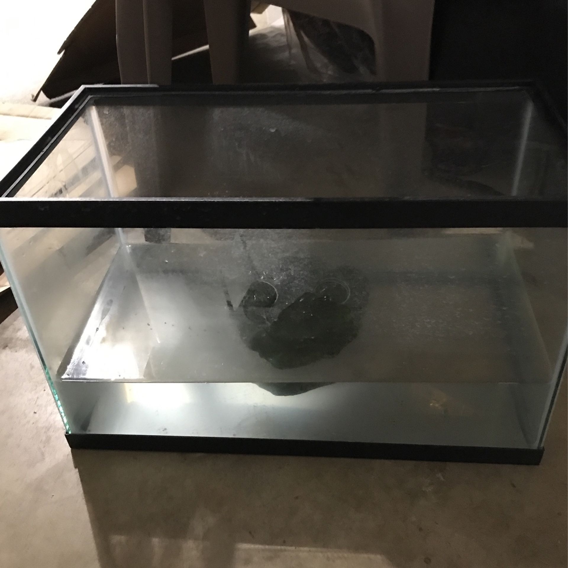 Fish Or Turtle Tank