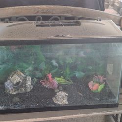 30 gallon fish tank