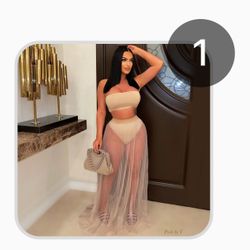 Nude Top And Mesh Skirt Set 