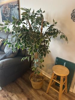 Decor tree