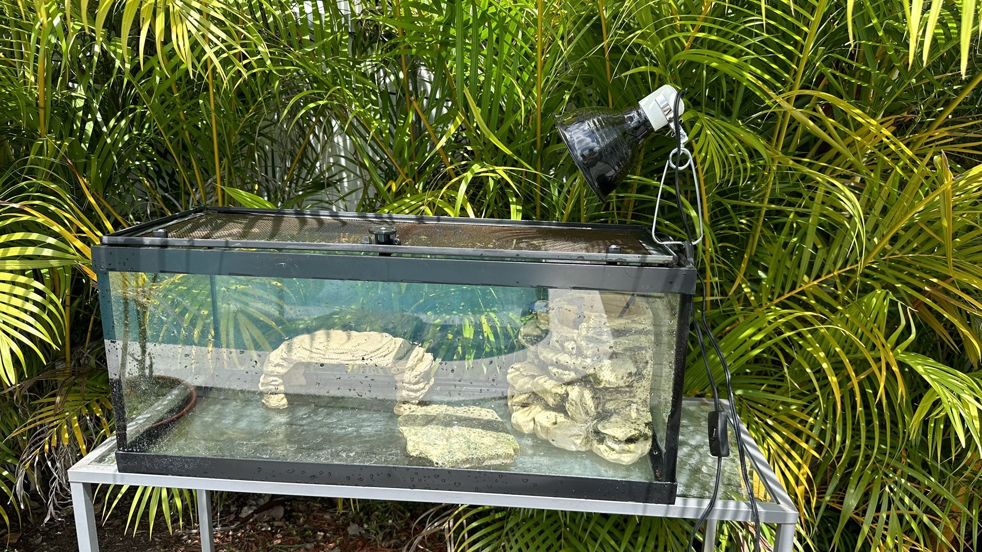 Tetra Aquatic Turtle / Animal  Deluxe Kit 20 Gallons, aquarium With Filter And Heating Lamp, 30 IN
