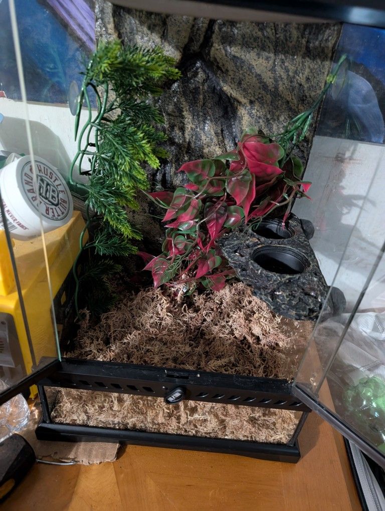 Gecko Tank