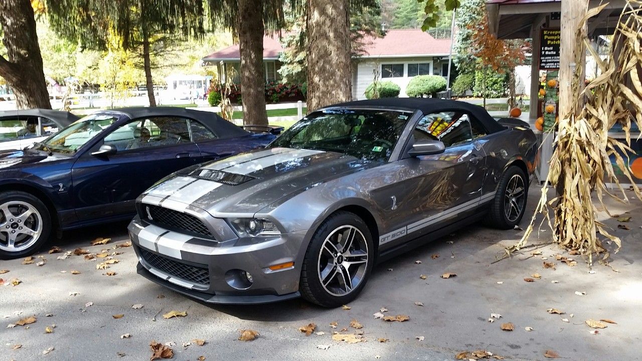 2010 Ford Shelby Gt500