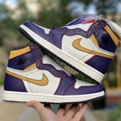 Air Jordan 1 x Dunk SB