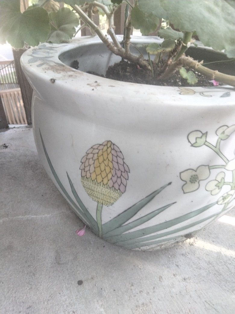 Ceramic Pot flowers
