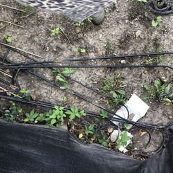 Shepard Hooks For Bird Feeders