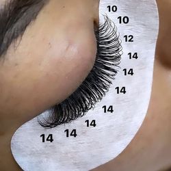 Lashes 
