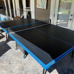 Ping Pong Table