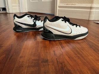 Nike LeBrons 21 conchiolin