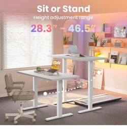 (Small Damage) Electric Standing Desk,40" x 24" Height Adjustable Desk
