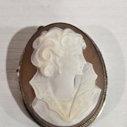 Antique Carved Shell Cameo Brooch Pin And Pendant 