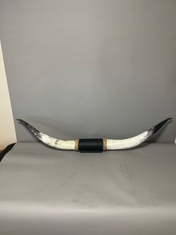 Authentic steer longhorns mounted