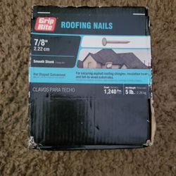 Roofing Nails 7/8" 5#