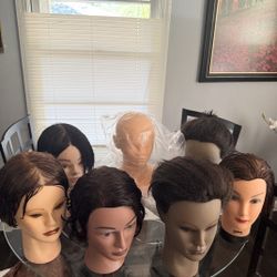 Cosmetology Mannequin Heads/ Models And Stands