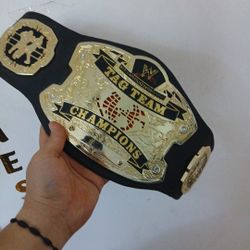 One Half Of Wwe Tag Team Champ