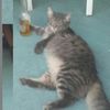 Ricardo