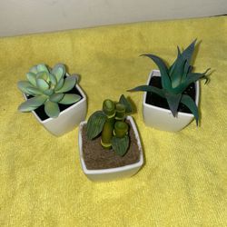 Artificial plants in Ceramic Pots