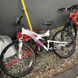 Mongoose Mountain Bike 