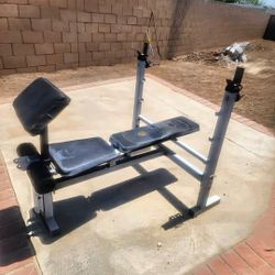 Olympic Bench Press 