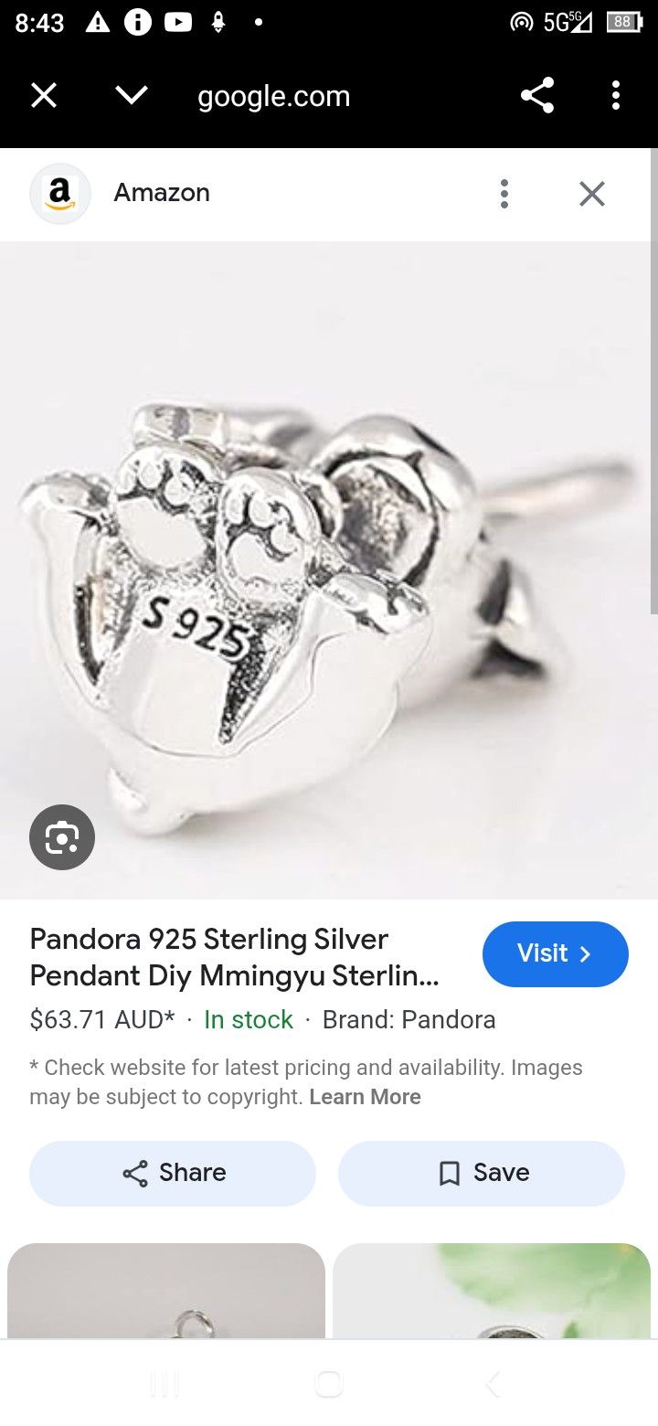 Pandora Bracelet Charm