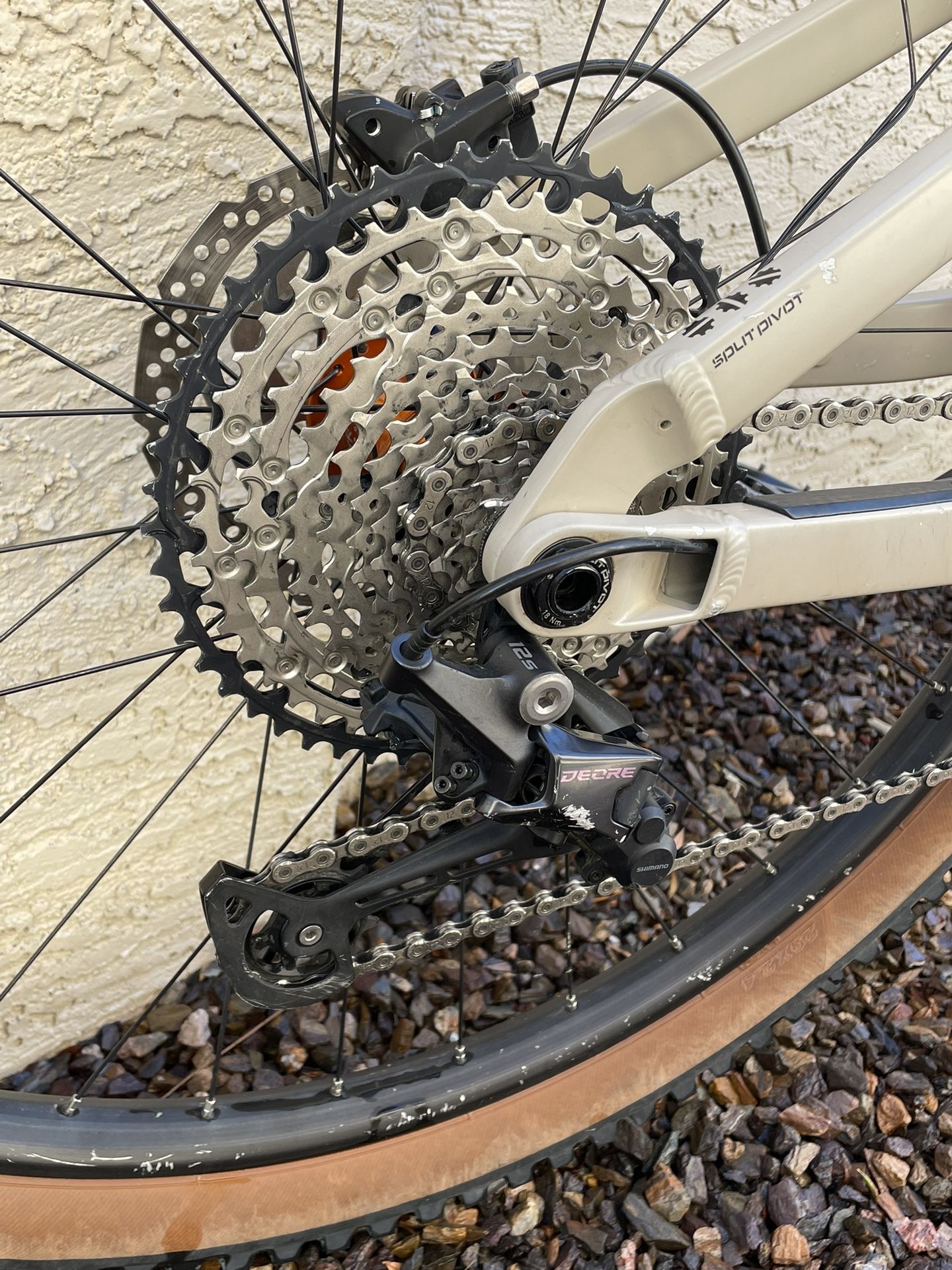 salsa horsethief 2019