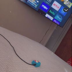 Roku Tv 65 Inch 