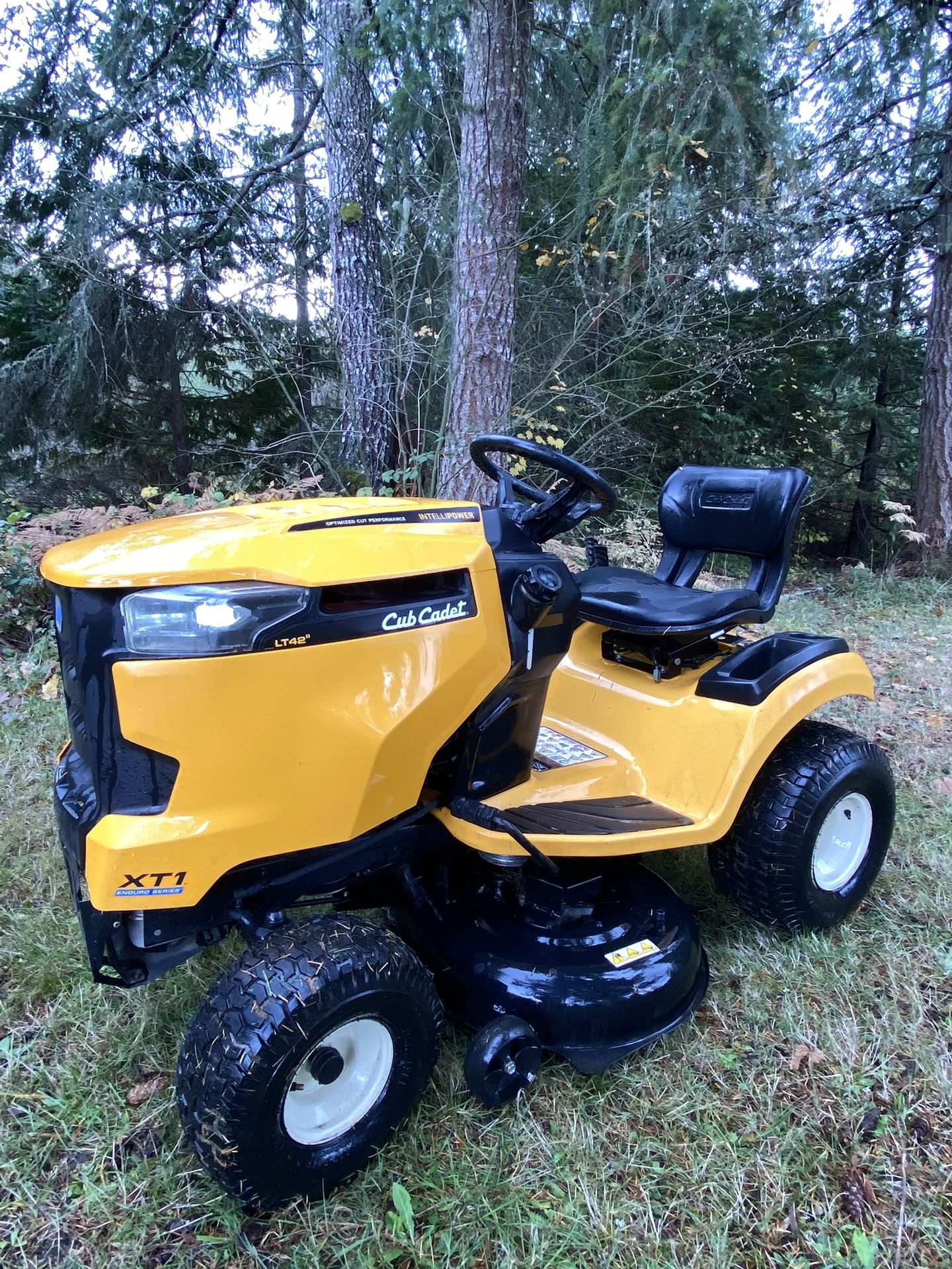 FS: Cub-Cadet XT1 LT42 Mower Riding Lawnmower