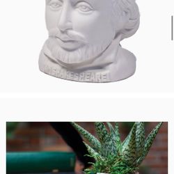 Shakespeare Succulent Pot 