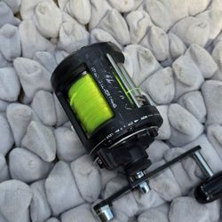 Shimano Triton Charter Special Reel
