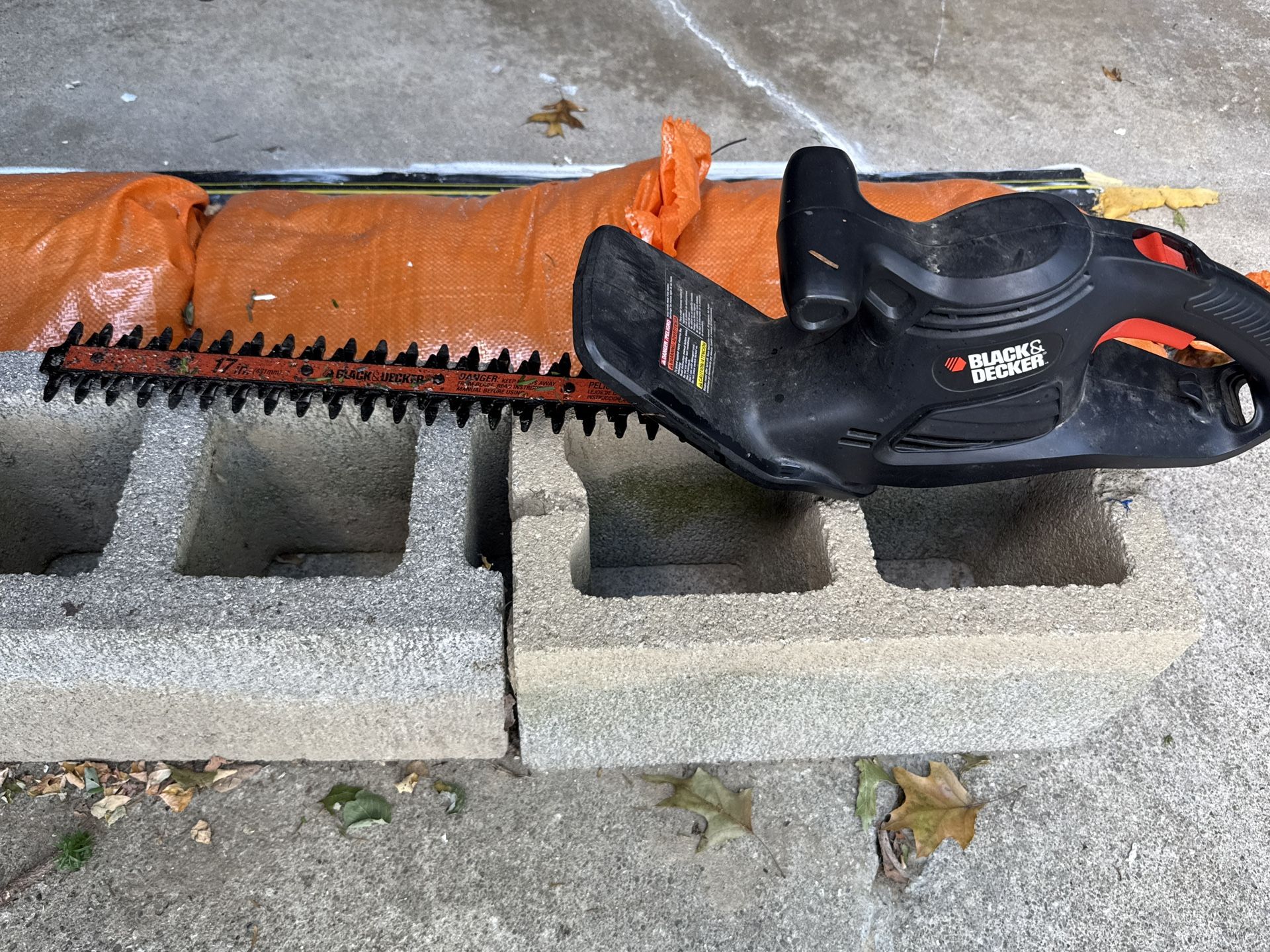 BLACK+DECKER Electric Hedge Trimmer, 17-Inch (BEHT150)