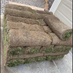 Sod