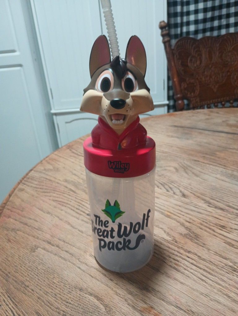 Reusable Cup with Straw