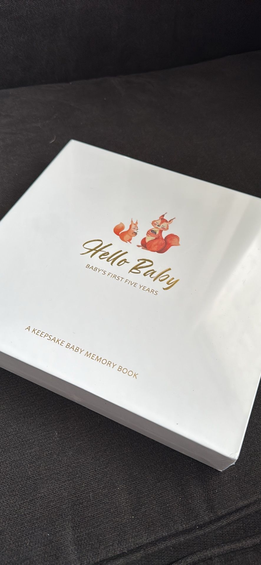 Baby Memory Book