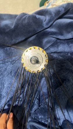 Hub with fixe cog and freewheel