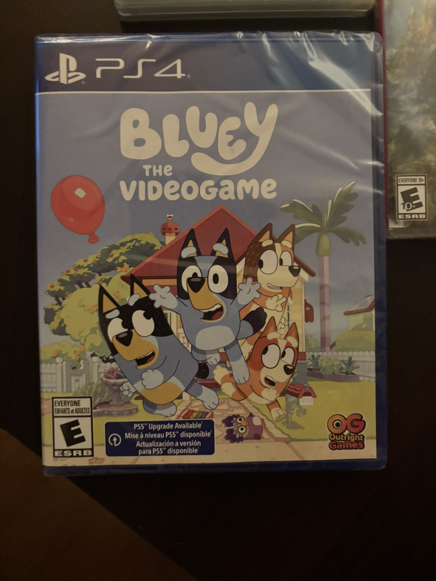 PS4 Bluey Video Game