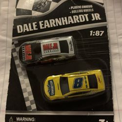 NASCAR Dale Earnhardt Jr 