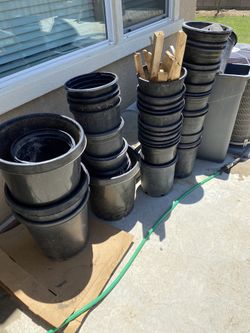 Plants buckets, 5gal and 15gall