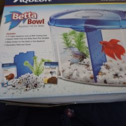 Betta Bowl Aquarium Kit For Betta.